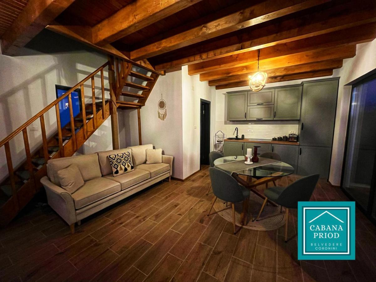 Cabana Priod Coronini Pescari Exteriér fotografie