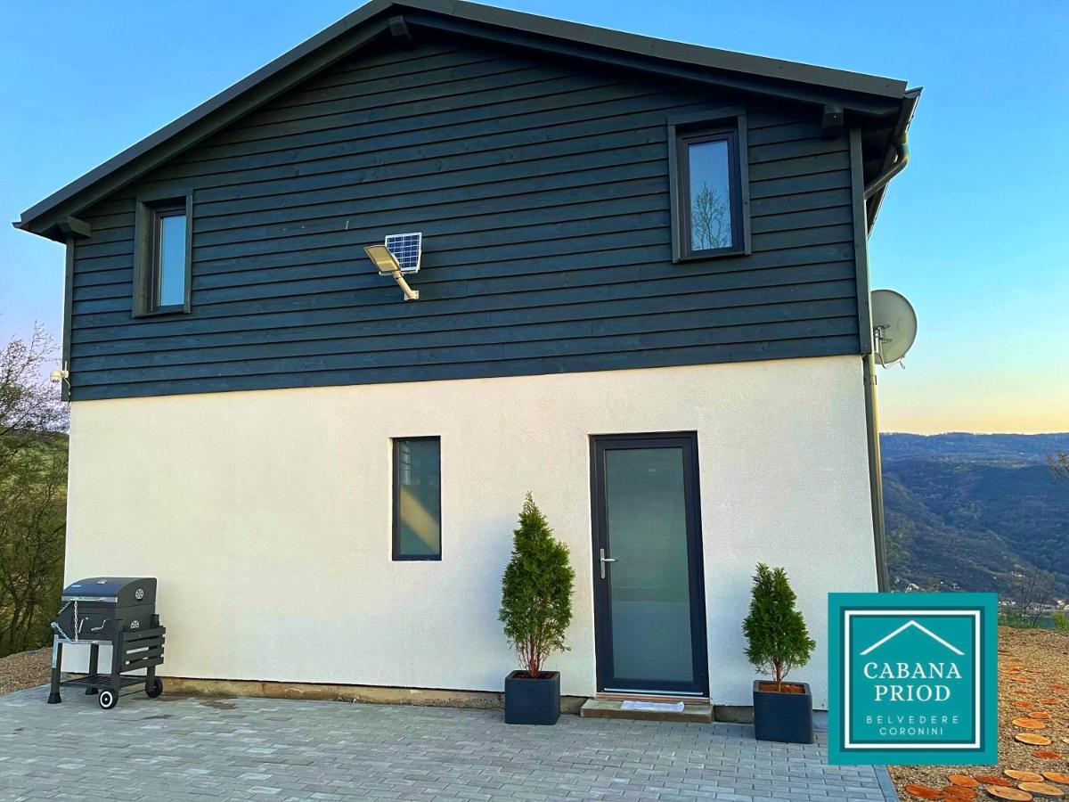 Cabana Priod Coronini Pescari Exteriér fotografie