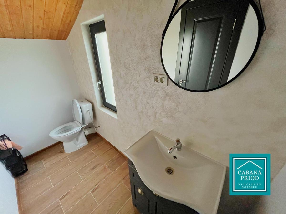 Cabana Priod Coronini Pescari Exteriér fotografie