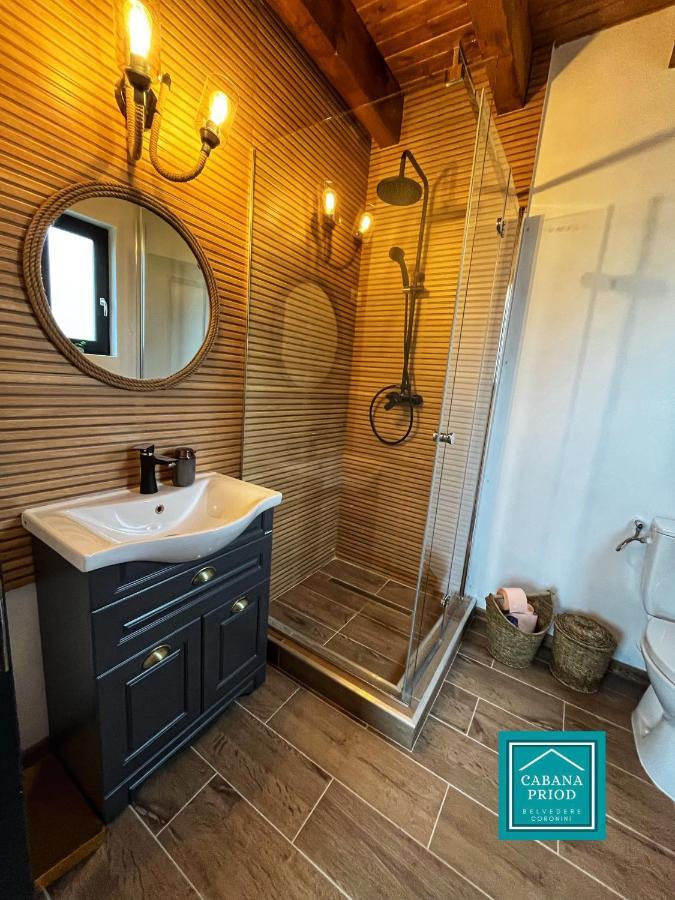 Cabana Priod Coronini Pescari Exteriér fotografie