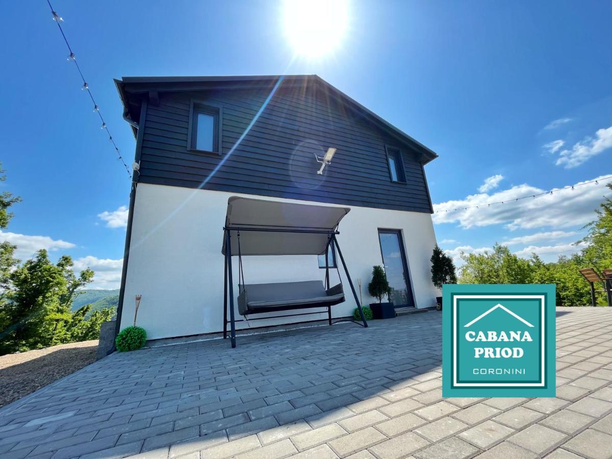 Cabana Priod Coronini Pescari Exteriér fotografie