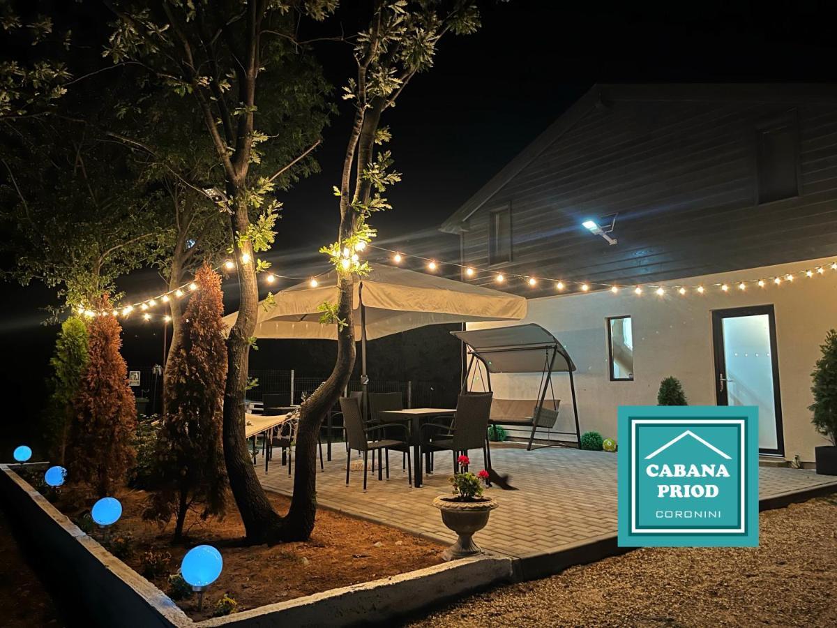 Cabana Priod Coronini Pescari Exteriér fotografie
