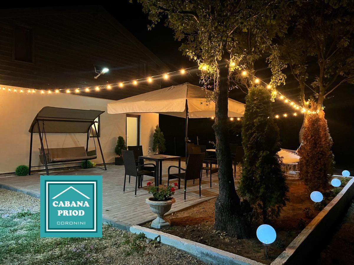 Cabana Priod Coronini Pescari Exteriér fotografie