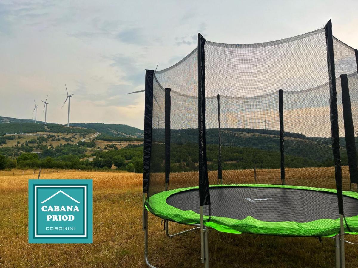 Cabana Priod Coronini Pescari Exteriér fotografie